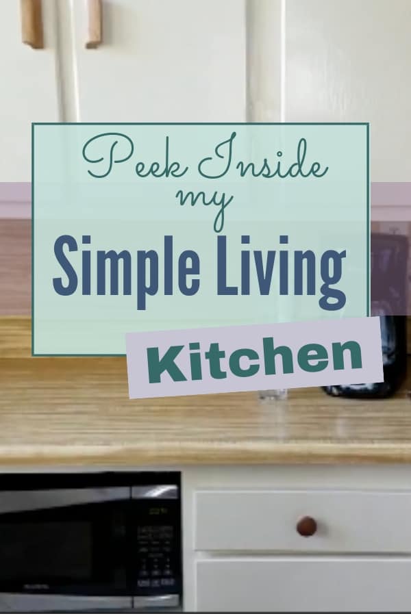 simple living kitchen