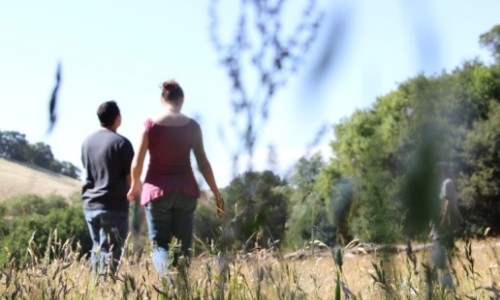 walking in a field