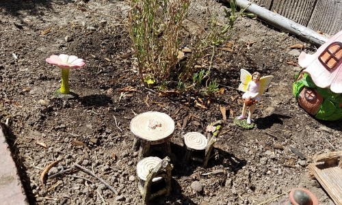 DIY fairy garden in the plants