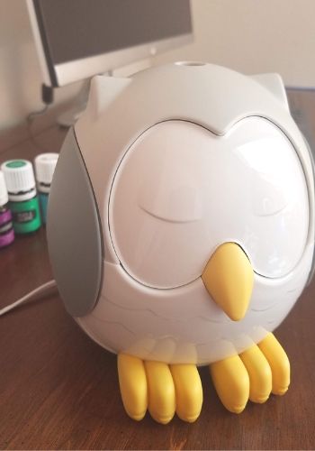 feather the owl diffuser