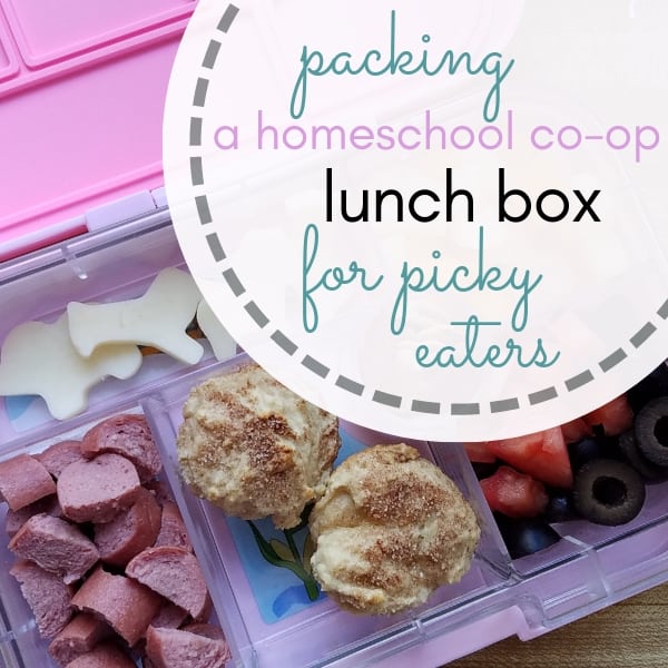 Easy Bento Lunch Box Ideas (Picky-Eater Approved), Recipe