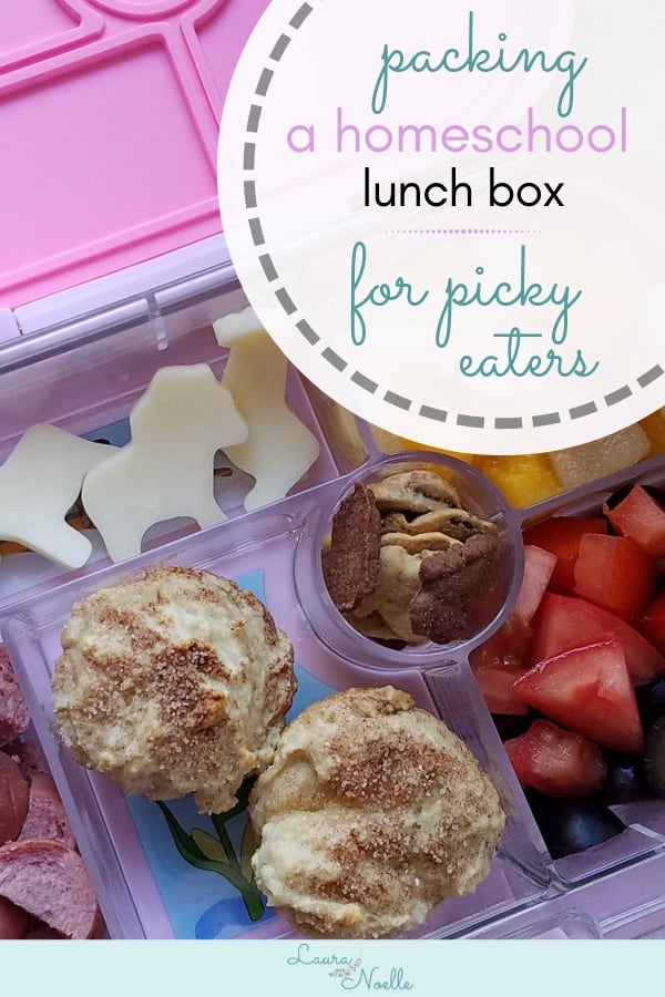 packing homeschool co-op lunch boxes for picky eaters