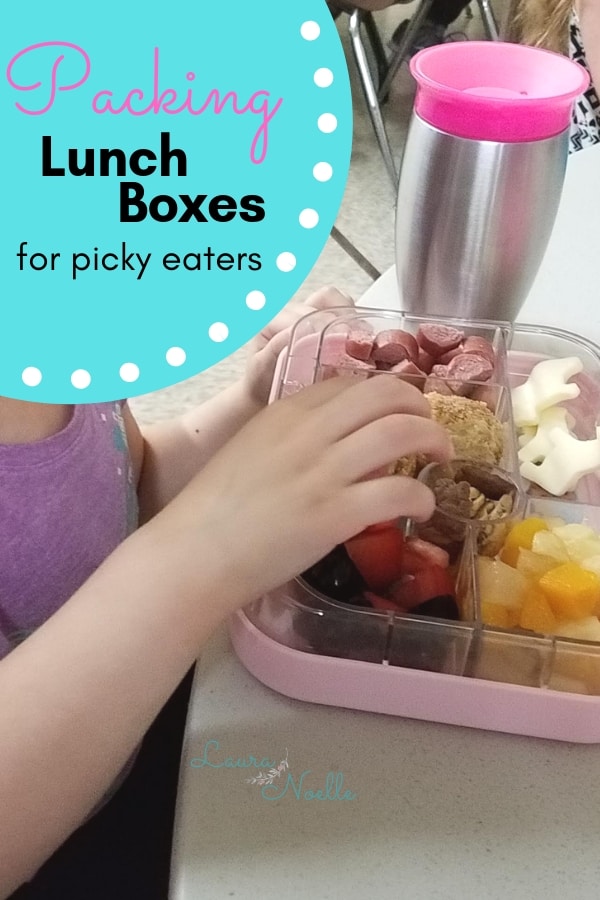 packing lunch boxes for picky eaters