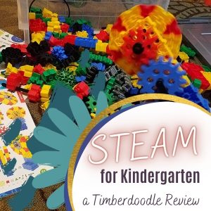 KINDERGARTEN ON STEAM intelligence overview