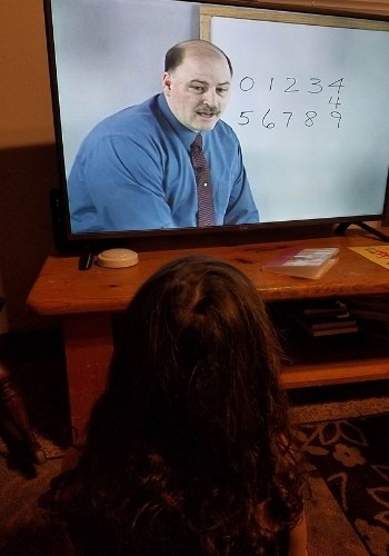 math u see DVD instructional lesson