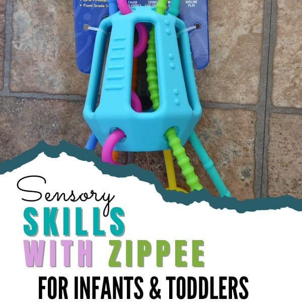 Mobi Zippee Infant/Toddler Sensory Toy Review