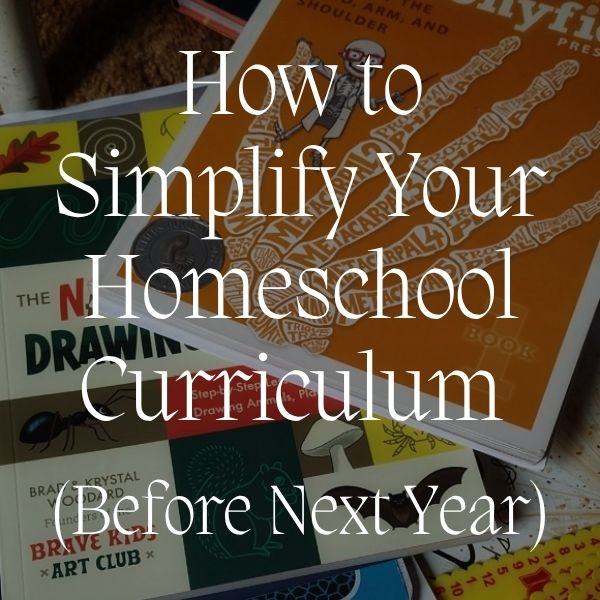 Drowning in Curriculum Choices? How to Simplify Your Homeschool Before Next Year Begins